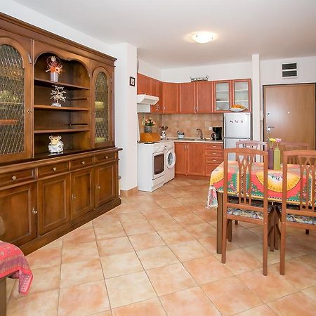 Apartment Morena Novigrad Istria エクステリア 写真