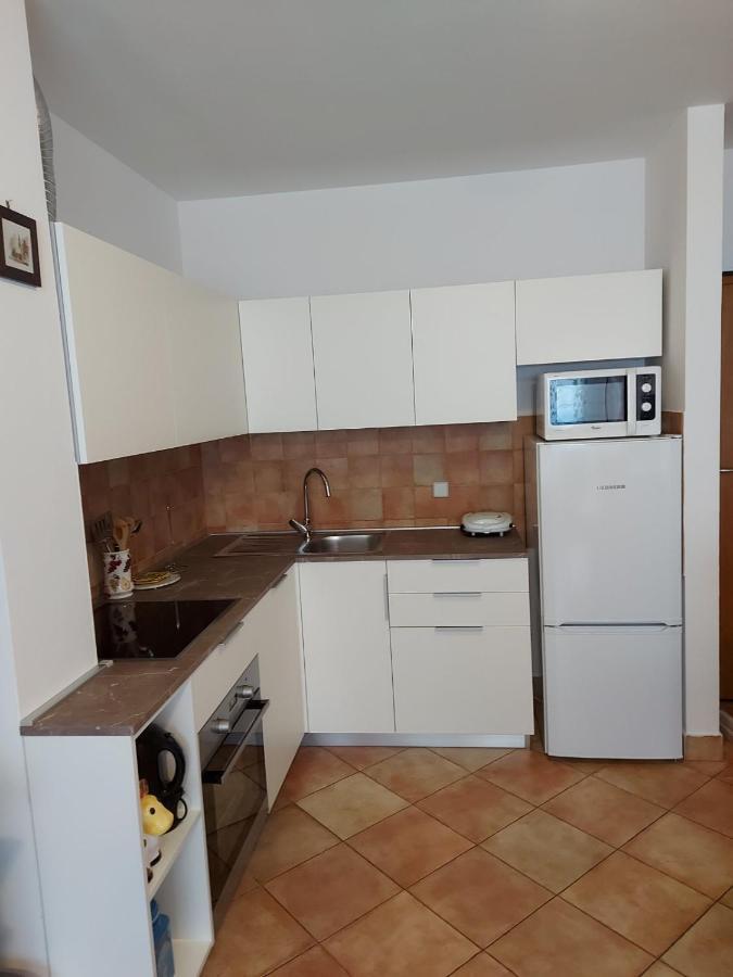 Apartment Morena Novigrad Istria エクステリア 写真
