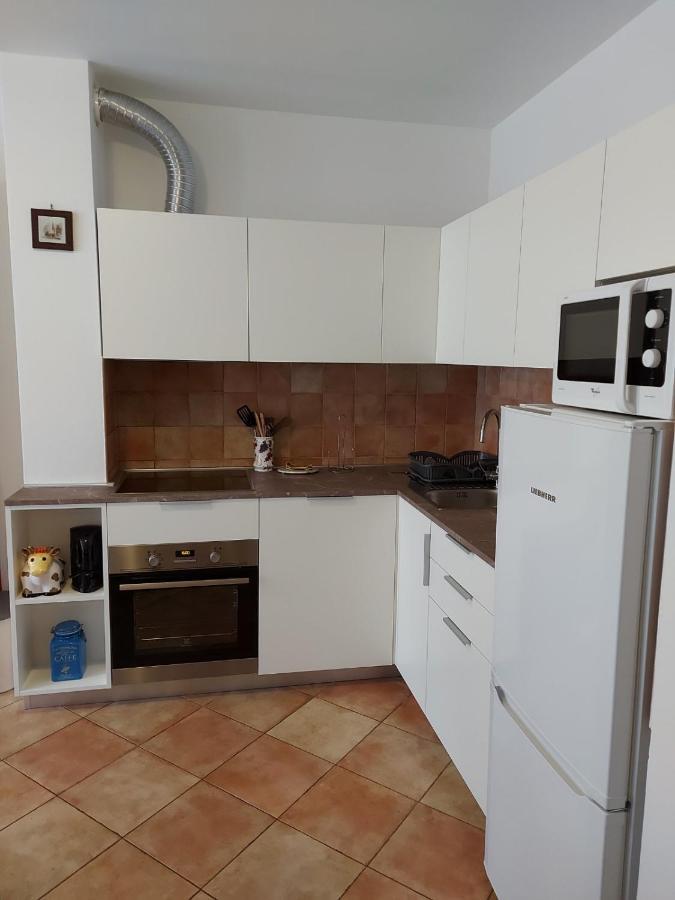 Apartment Morena Novigrad Istria エクステリア 写真