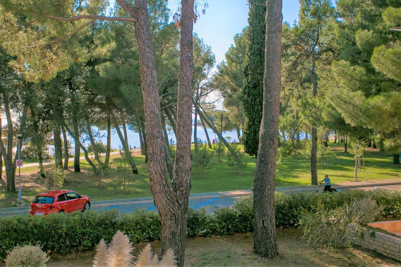 Apartment Morena Novigrad Istria エクステリア 写真