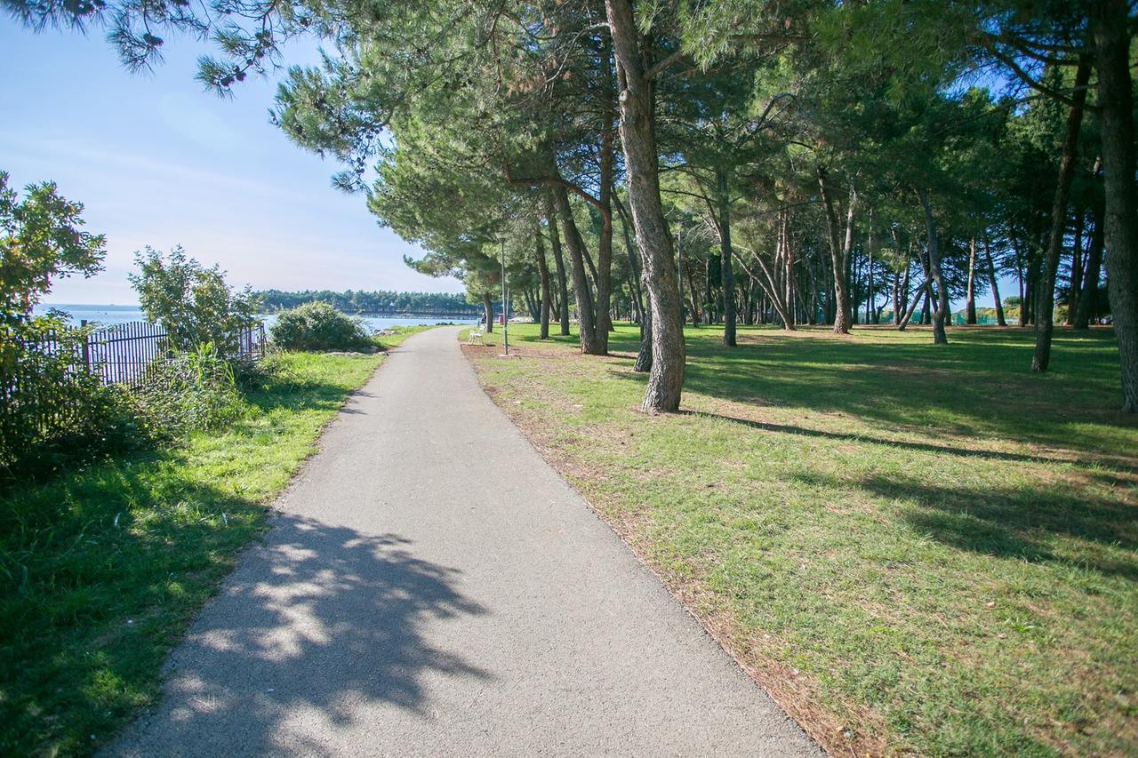 Apartment Morena Novigrad Istria エクステリア 写真